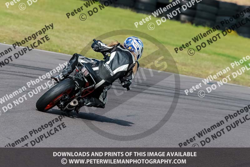 PJ Motorsport 2019;anglesey no limits trackday;anglesey photographs;anglesey trackday photographs;enduro digital images;event digital images;eventdigitalimages;no limits trackdays;peter wileman photography;racing digital images;trac mon;trackday digital images;trackday photos;ty croes